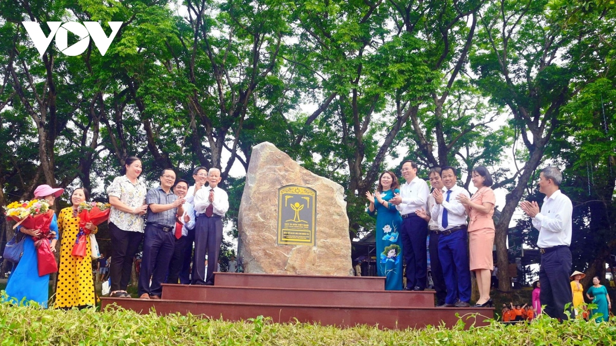 9 cây sưa làng Hương Trà (Quảng Nam) được công nhận Cây di sản Việt Nam