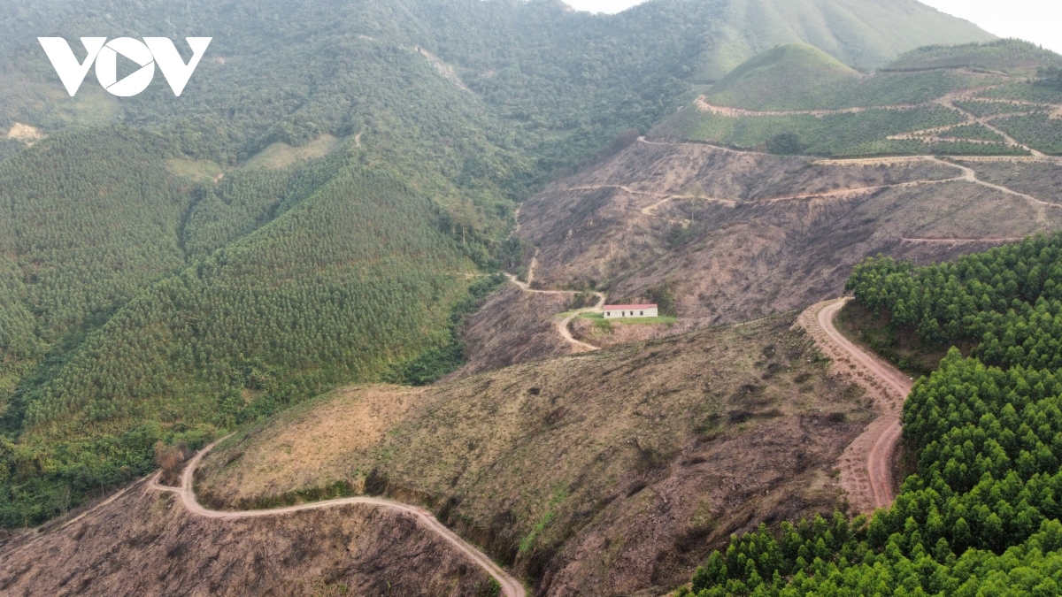 Bắc Giang dùng nhiều biện pháp cấp bách phòng cháy, chữa cháy rừng