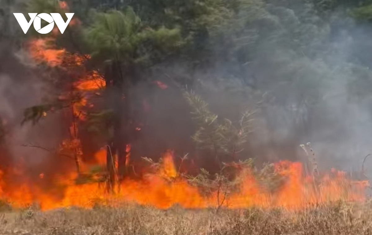 Cháy rừng ven biển ở Quảng Bình thời điểm nắng nóng gay gắt