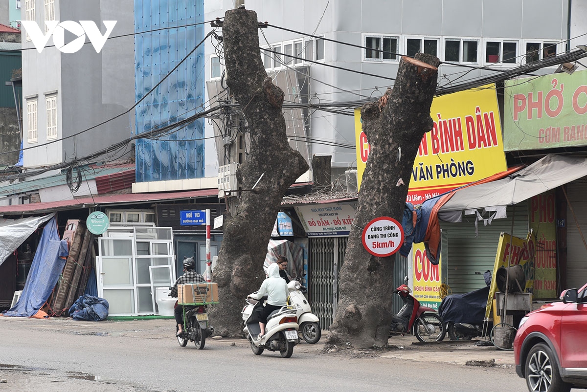 loat cay xa cu duong kinh lon bi cat ngon tro trui de phuc vu mo duong hinh anh 10