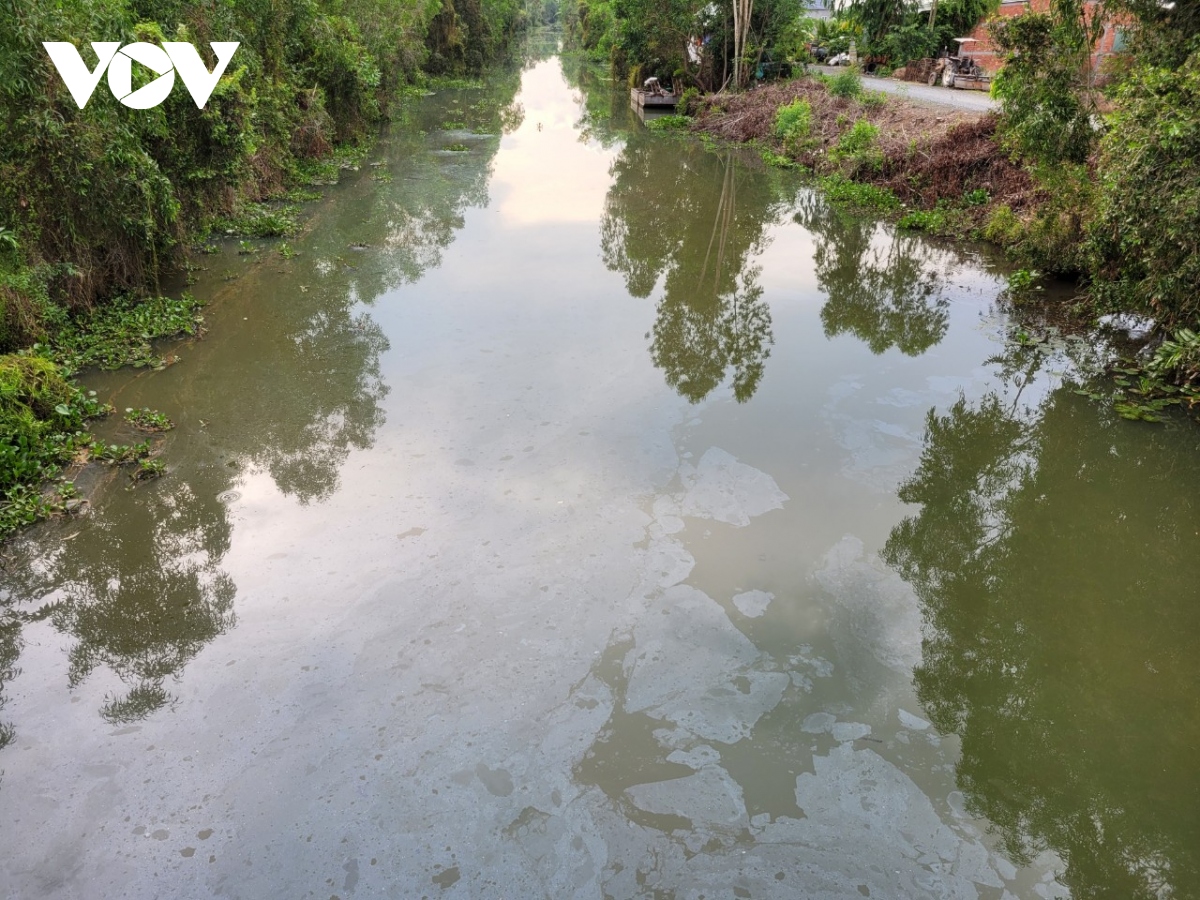 Xuất hiện nhiều dòng kênh thối ở Tân Phước, Tiền Giang