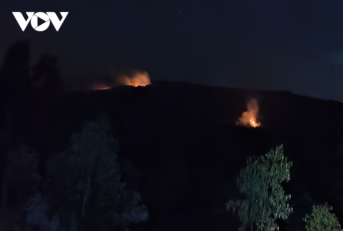 Hàng trăm người xuyên đêm chữa cháy rừng ở Bình Định
