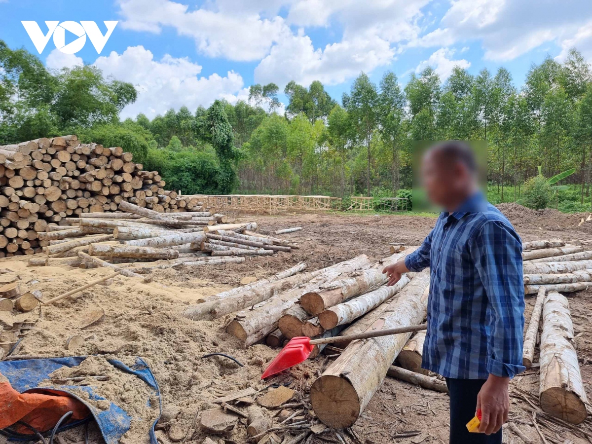 Tai nạn lao động tại xưởng chế biến gỗ ở Yên Thế, Bắc Giang, 1 người tử vong