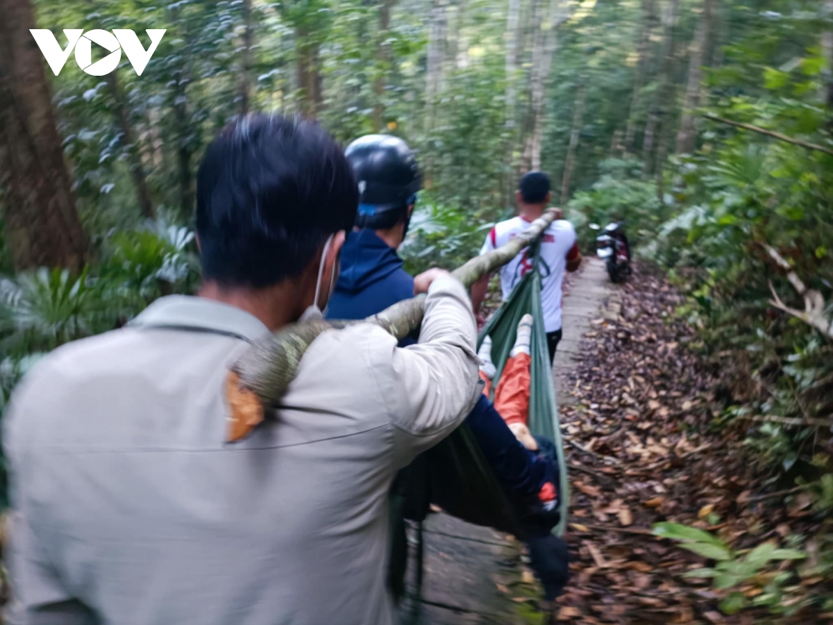Chưa kịp ngắm thác K50, nữ du khách đã tử vong vì cây rừng ngã đổ