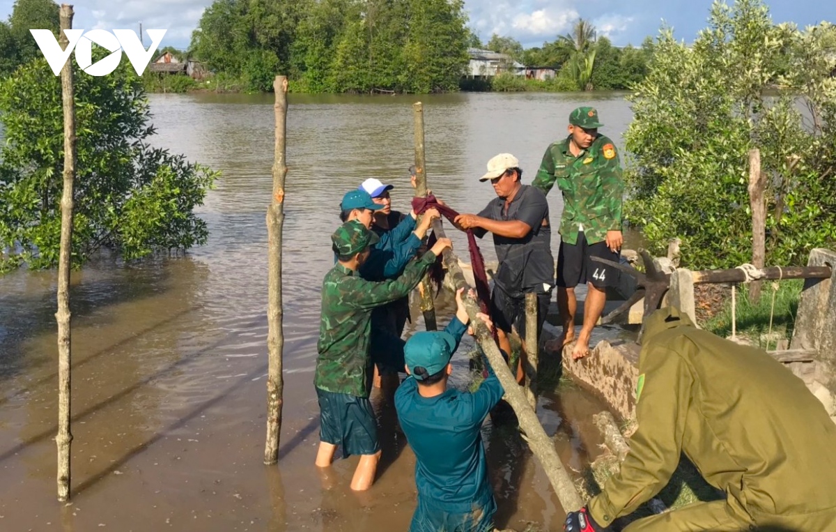 Thiên tai gây thiệt hại 35 tỷ đồng ở Cà Mau