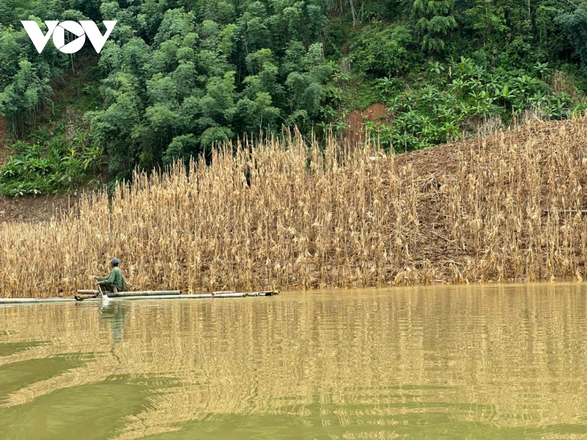 Một tháng sau lũ, thung lũng Bom Bay, Sơn La vẫn ngập trong nước