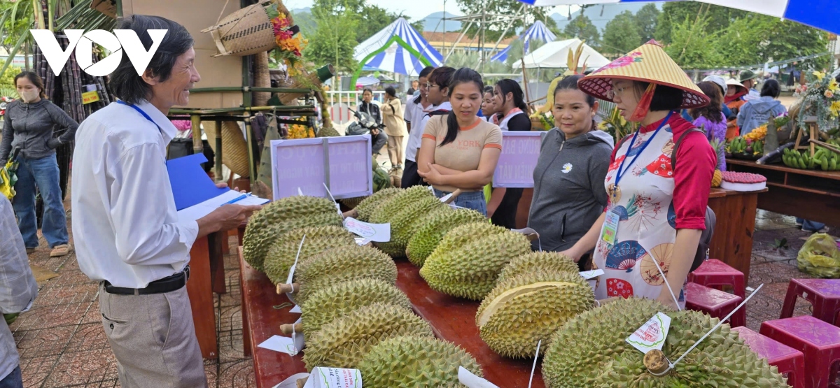 Khánh Hòa tổ chức Lễ hội trái cây, tìm đầu ra cho nông sản