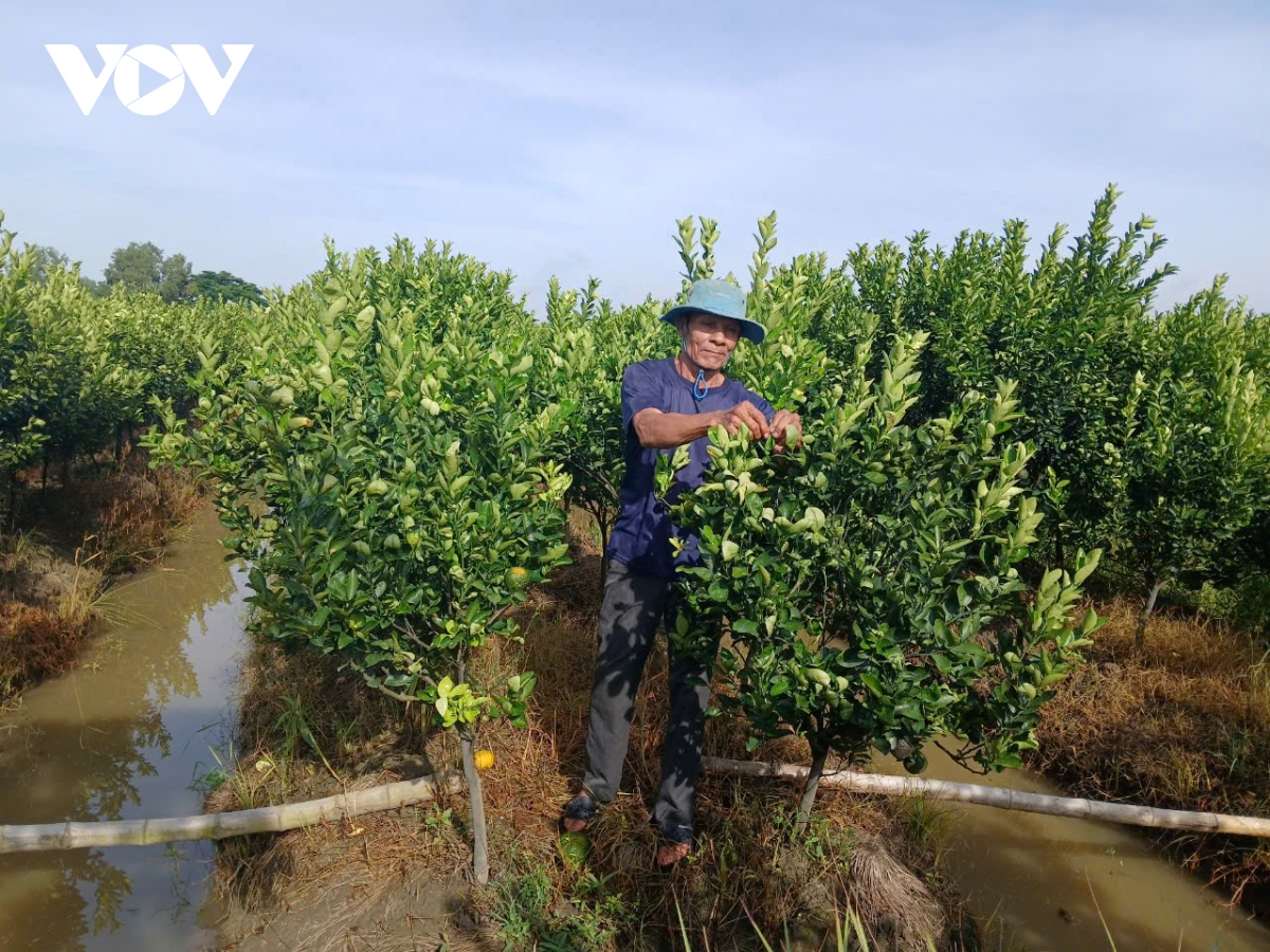 Đời sống đồng bào Khmer Châu Điền khởi sắc từ “quả ngọt” nông thôn mới