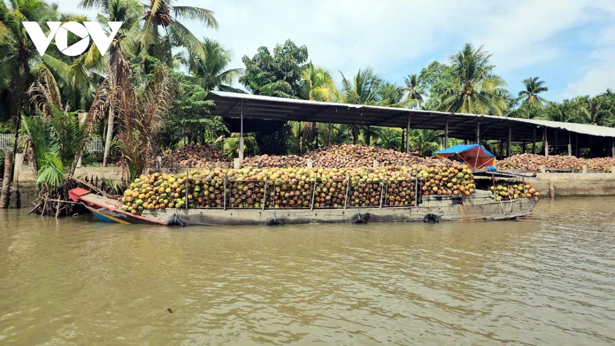 Giá nhiều loại trái cây ở Tiền Giang và Bến Tre tăng cao do thiếu nguồn cung