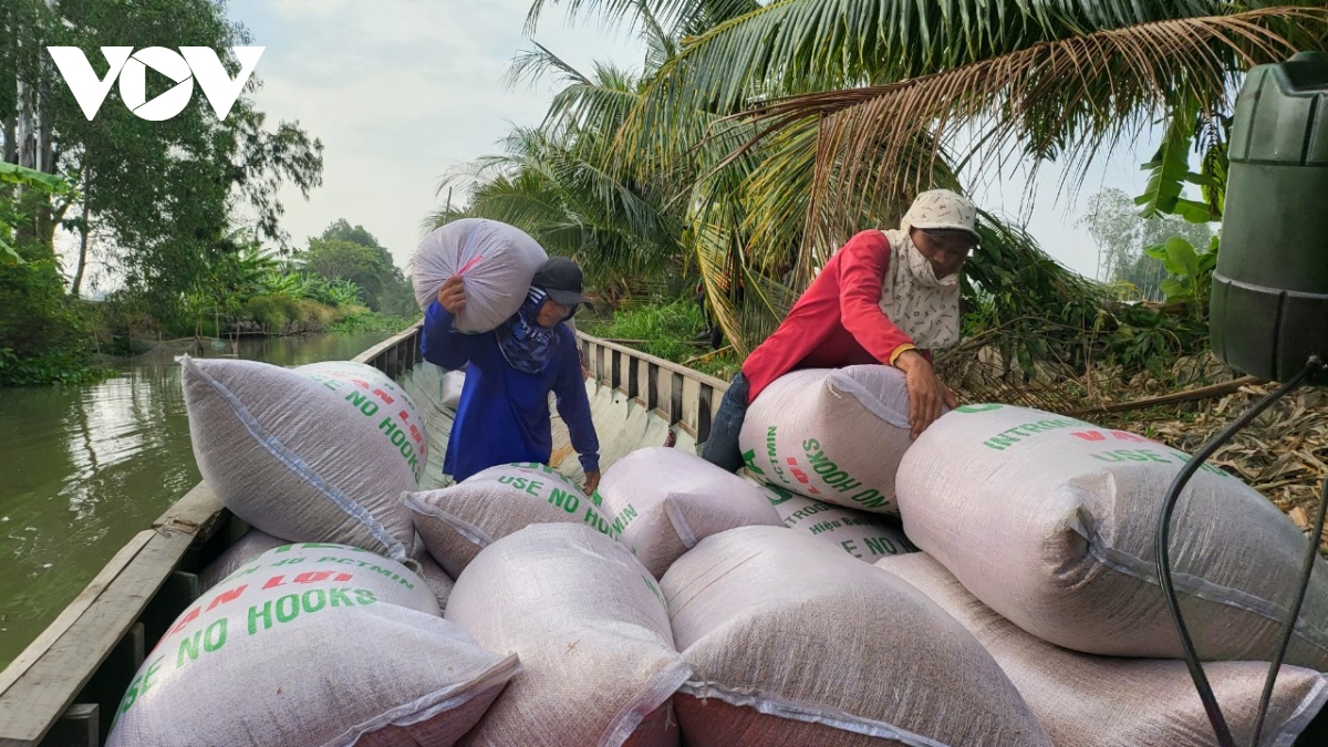 Vụ lúa Đông xuân 2024 nông dân có lợi nhuận tăng 27%