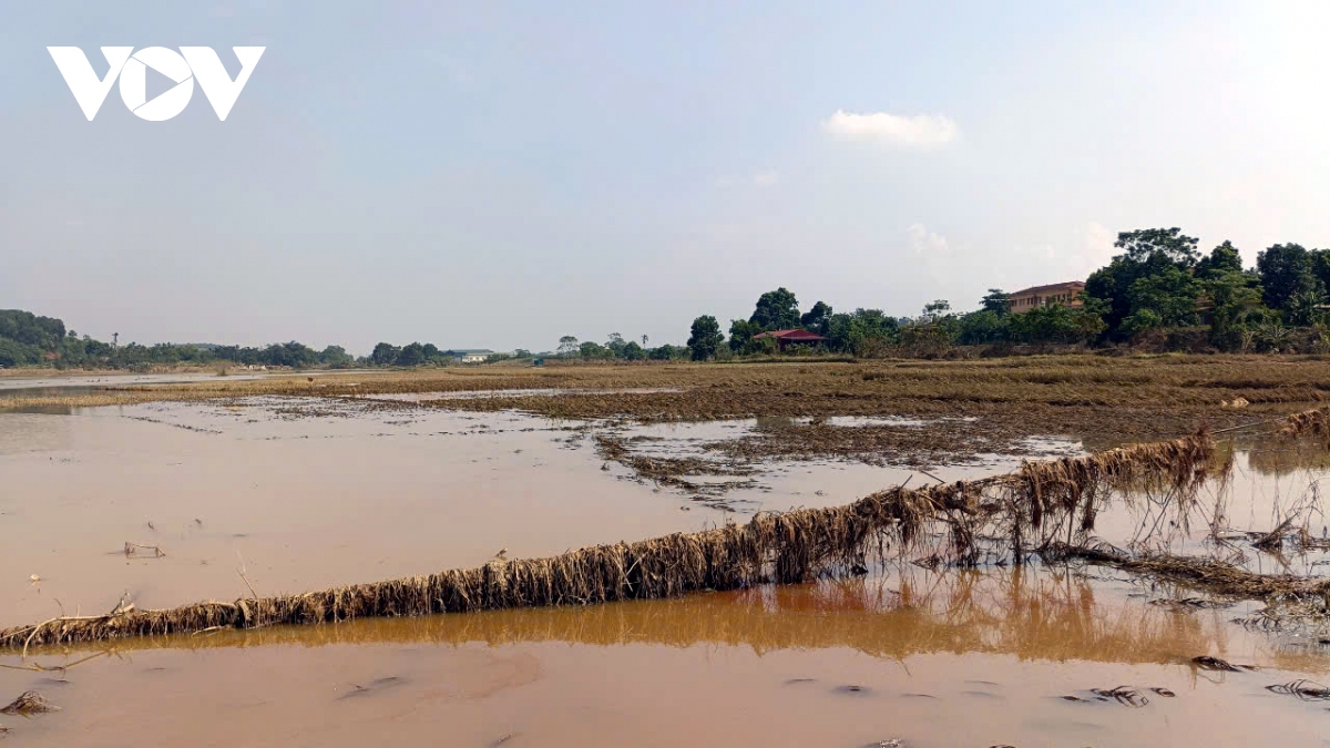 Trắng tay sau lũ, nông dân Yên Bái cần hỗ trợ để tái thiết sản xuất