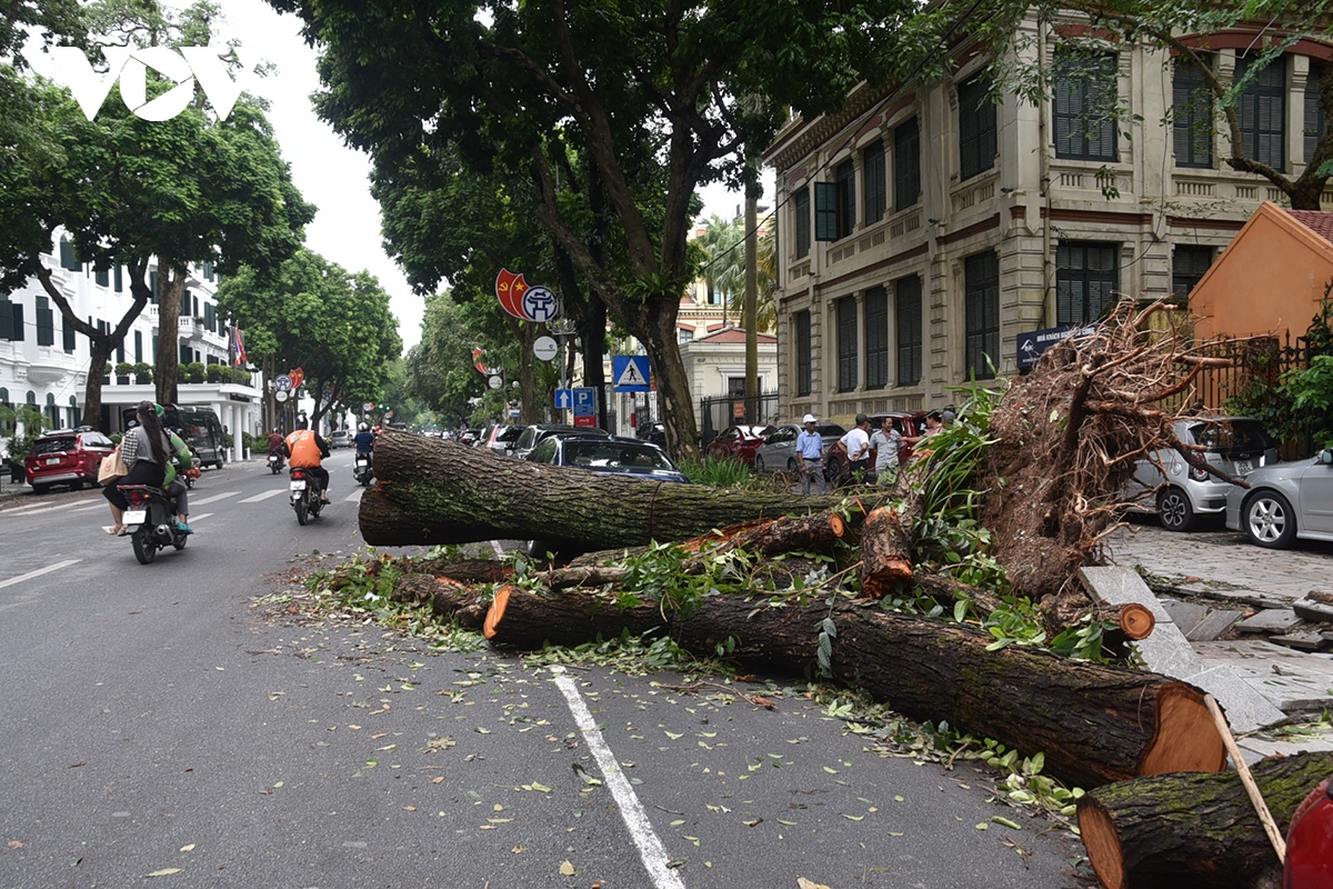 Cây xanh gãy đổ vẫn ngổn ngang trên đường phố Hà Nội