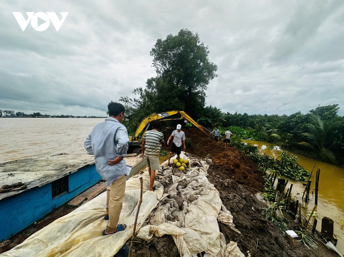 Bến Tre khẩn trương khắc phục đoạn đê bị vỡ lần 2