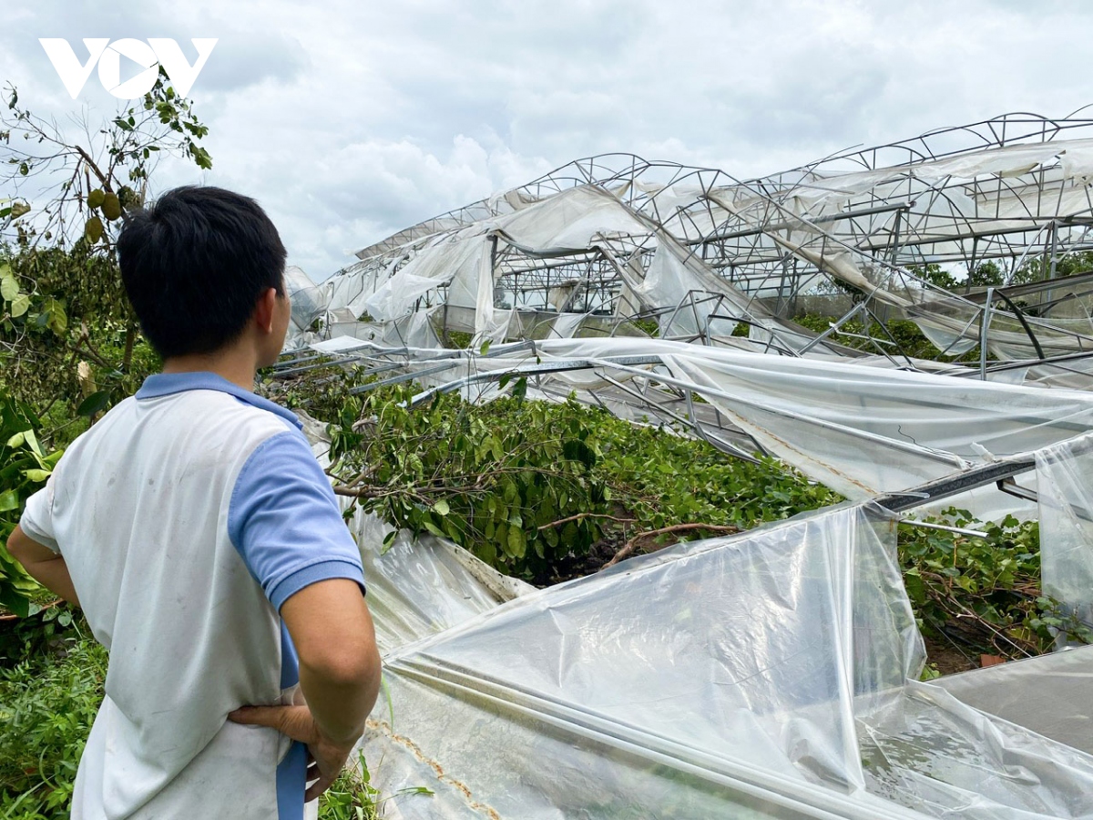 Khung cảnh tan hoang sau bão số 3, nông dân ở Bắc Ninh lo mất trắng