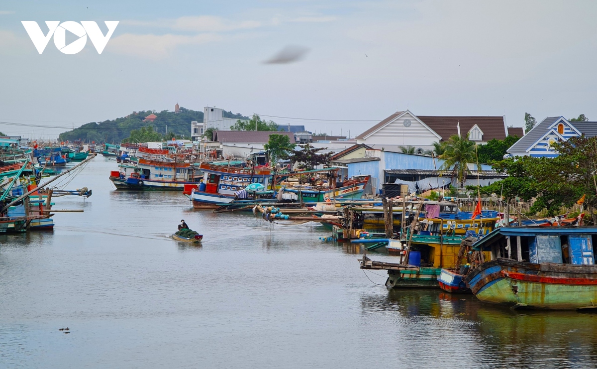 Cà Mau mở cao điểm thực hiện chống khai thác thủy sản bất hợp pháp