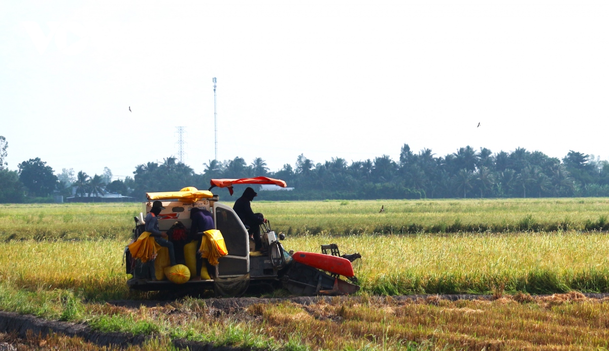 Đắk Lắk giúp nông dân phát huy vai trò trung tâm trong phát triển kinh tế