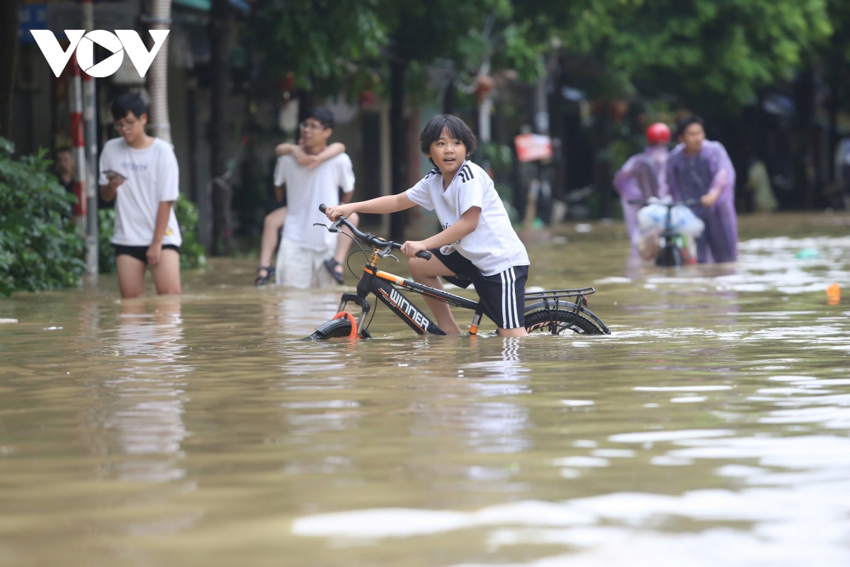 Người dân trồng quất ở Tứ Liên (Hà Nội) hối hả chạy lũ, di dời tài sản