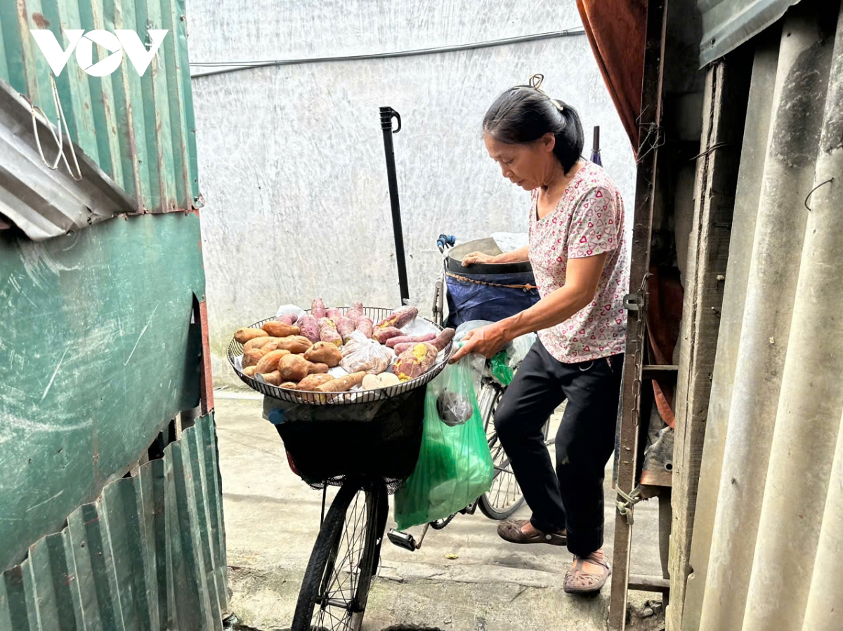 Người dân bãi sông Hồng (Hà Nội) nhọc nhằn mưu sinh trở lại sau lũ dữ