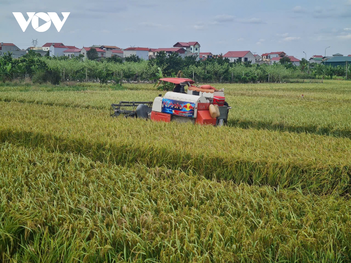 Bắc Giang khẩn trương phục hồi không để đứt gãy chuỗi sản xuất sau bão số 3